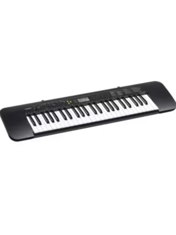 CASIO_CTK-240